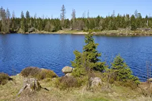 Harz National Park Drucke: Oderteich, dam, Harz National Park