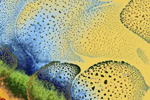 Deserted Waterfront Structures Drucke: Oil bubbles inside water base form patterns