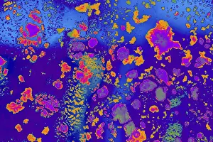 No People Waterfront Scene Drucke: Oil bubbles inside water base form patterns