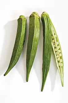 Malvaceae Family Plants Drucke: Okra