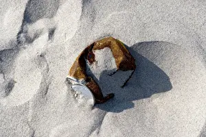 Environmental Conservation Drucke: Old can at the beach