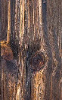 Old Wooden Floor Drucke: Old boards