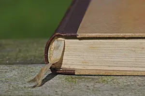 Daytime Leisure Activity Drucke: Old book with a bookmark