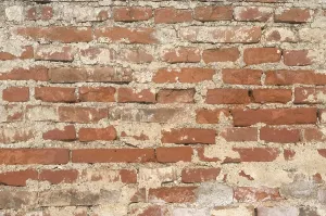 Old Brick Wall Drucke: Old brick wall