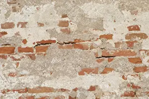 Old Brick Wall Drucke: Old brick wall