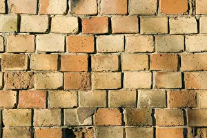 Abandoned Brick Walls Drucke: Old brick wall