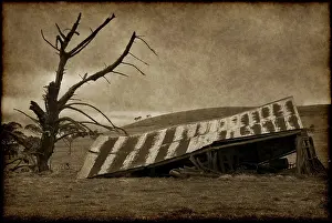 Deserted Barn Drucke: Old fallen down barn