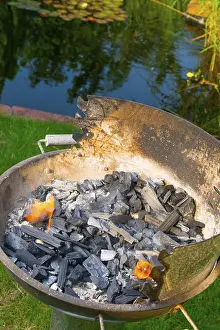 Charcoal Barbecue Drucke: Old one grill