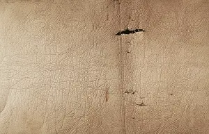 Abstract Desert Landscape Drucke: Old leather texture