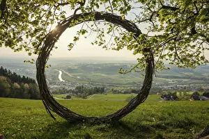 Deciduous Tree Branches Drucke: Old lime tree and circle of branches