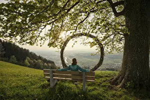 Lake Lucerne Switzerland Drucke: Old lime tree and circle of branches