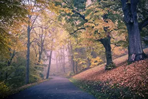 Deserted German Parks Drucke: Old park in fall. Germany