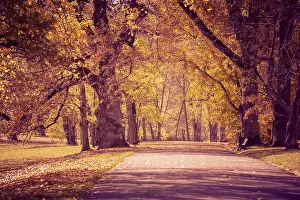 Deserted German Parks Drucke: Old park in fall. Germany