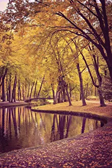 German Autumn Landscapes Drucke: Old park in fall. Germany
