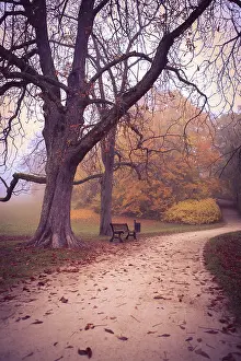 Central European Fall Landscapes Drucke: Old park in fall. Germany