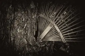 Deserted German Garden Scene Drucke: Old rake, rusty, stuck in a tree trunk