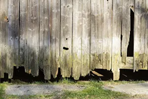 Deserted Entrance Gate Drucke: Old rotten board wall
