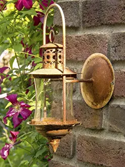 Blooming Plants In Europe Drucke: Old, rusty lantern on a brick wall in the garden