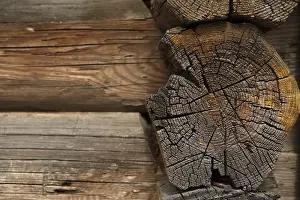 Rustic Wooden Plank Drucke: Old timber balk. Wall log