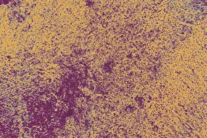 No People Background Graphic Drucke: Old weathered grunge wall background texture pattern as abstract background