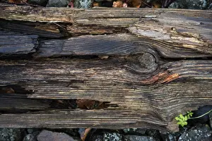 Fischland Darss Zingst Scenery Drucke: Old weathered railway threshold