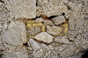Deserted Daytime Scene Drucke: Old weathered wall, detail