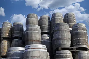 Deserted Wine Cellar Drucke: Old wine barrels