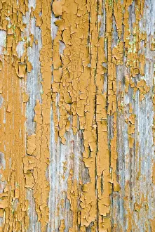 Rusty Decorative Item Drucke: Old wood background