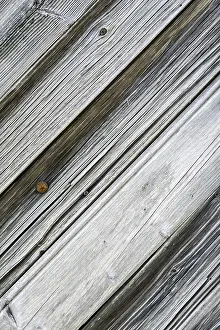 Close Up Wood Grain Drucke: Old wood texture