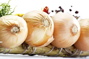 European Vegetable Plant Drucke: Onions
