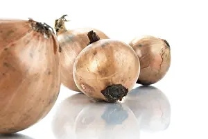 Studio Food Shots Drucke: Onions