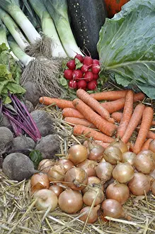 Common Onion Uses Drucke: Onions, beetroot, leeks, onions