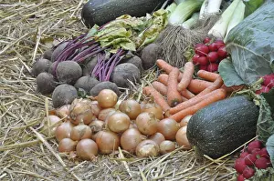 Erntedankfest Drucke: Zwiebeln, Rote Beete, Lauch, Zwiebeln