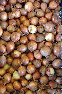 Common Onion Drucke: Onions, onion