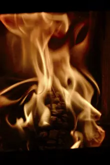 European Winter Scenes Drucke: Open fire, winter, Germany