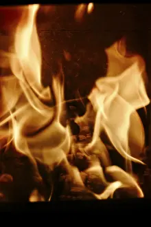 European Winter Scene Drucke: Open fire, winter, Germany