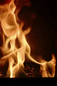 European Winter Scene Drucke: Open fire, winter, Germany