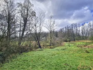Cloudy Sky Nature Photography Drucke: Open landscape with trees and clouds in the sky