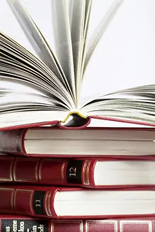 Reference Book Collection Drucke: Open lexicon