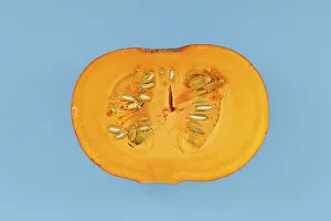 Hokkaido Squash Drucke: Open Red Kuri squash