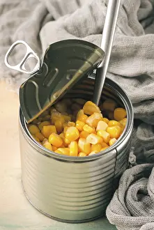 Corn In Tin Can Drucke: Open tin can, with corn, top view
