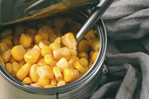 Selective Focus Image Drucke: Open tin can, with corn, top view