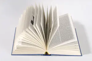 Educational Reform Symbol Drucke: Opened up book