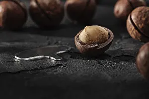 Close Up Macro Shot Drucke: Opened Macadamia Nut And Opener Key For Open It