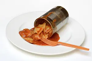 Ravioli Meal Drucke: Opened tin can with ravioli and fork on plate