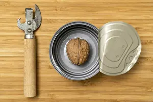 Kitchen Utensil Image Drucke: Can opener and opened tin can with a single walnut inside