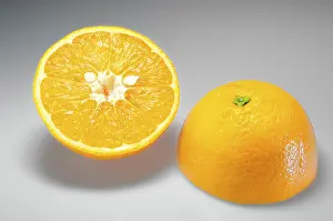Freshly Cut Oranges Drucke: Two orange halves