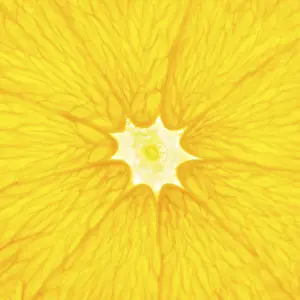Nature Food Images Drucke: Orange slice close up
