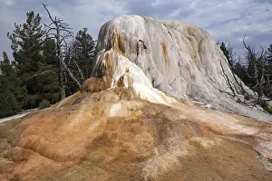 Mammoth Hot Springs Drucke: Orange Spring Mound, Upper Terraces