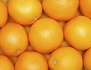 Vitamin C Fruits Drucke: Oranges